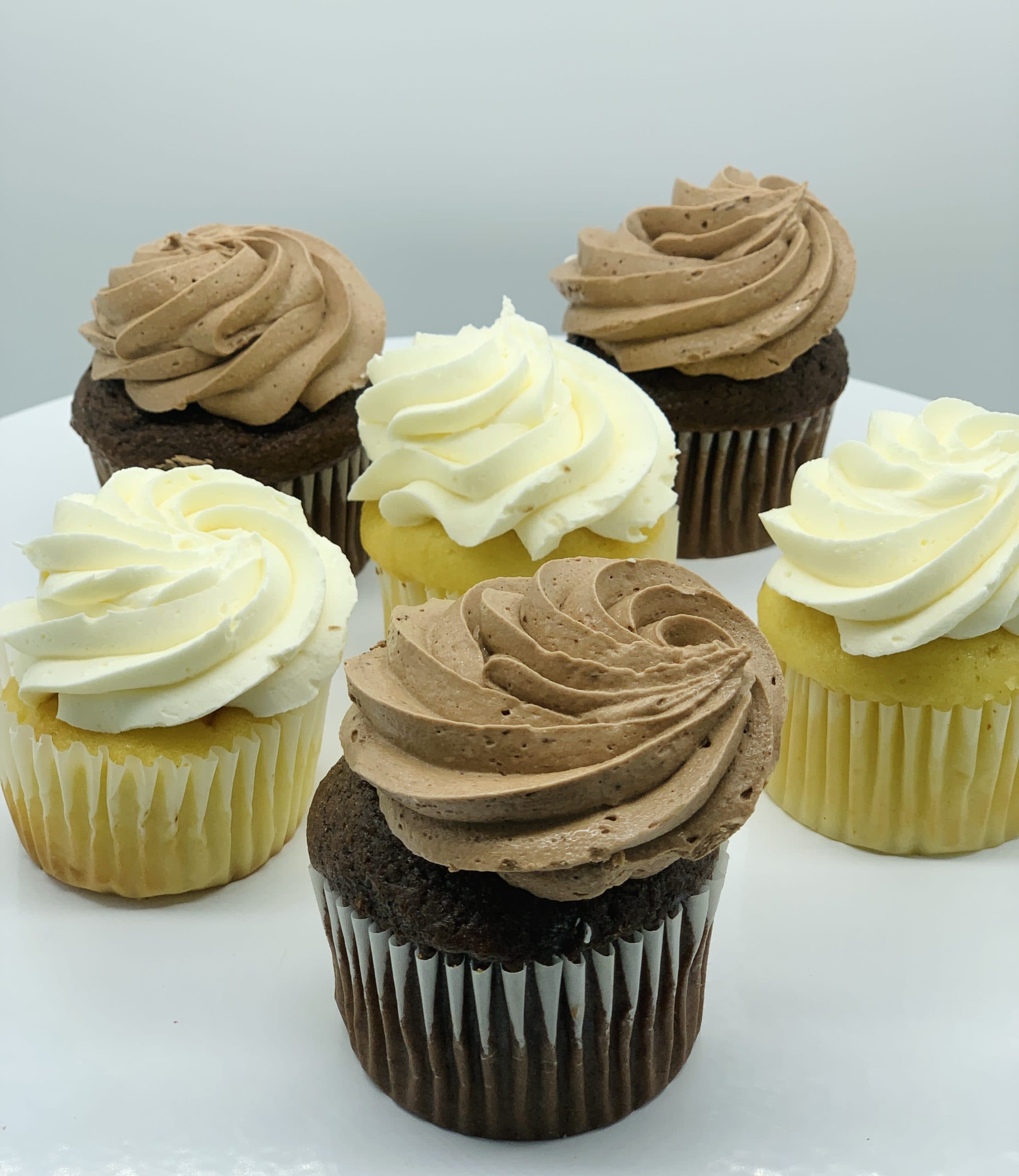 Plain Iced Cupcake