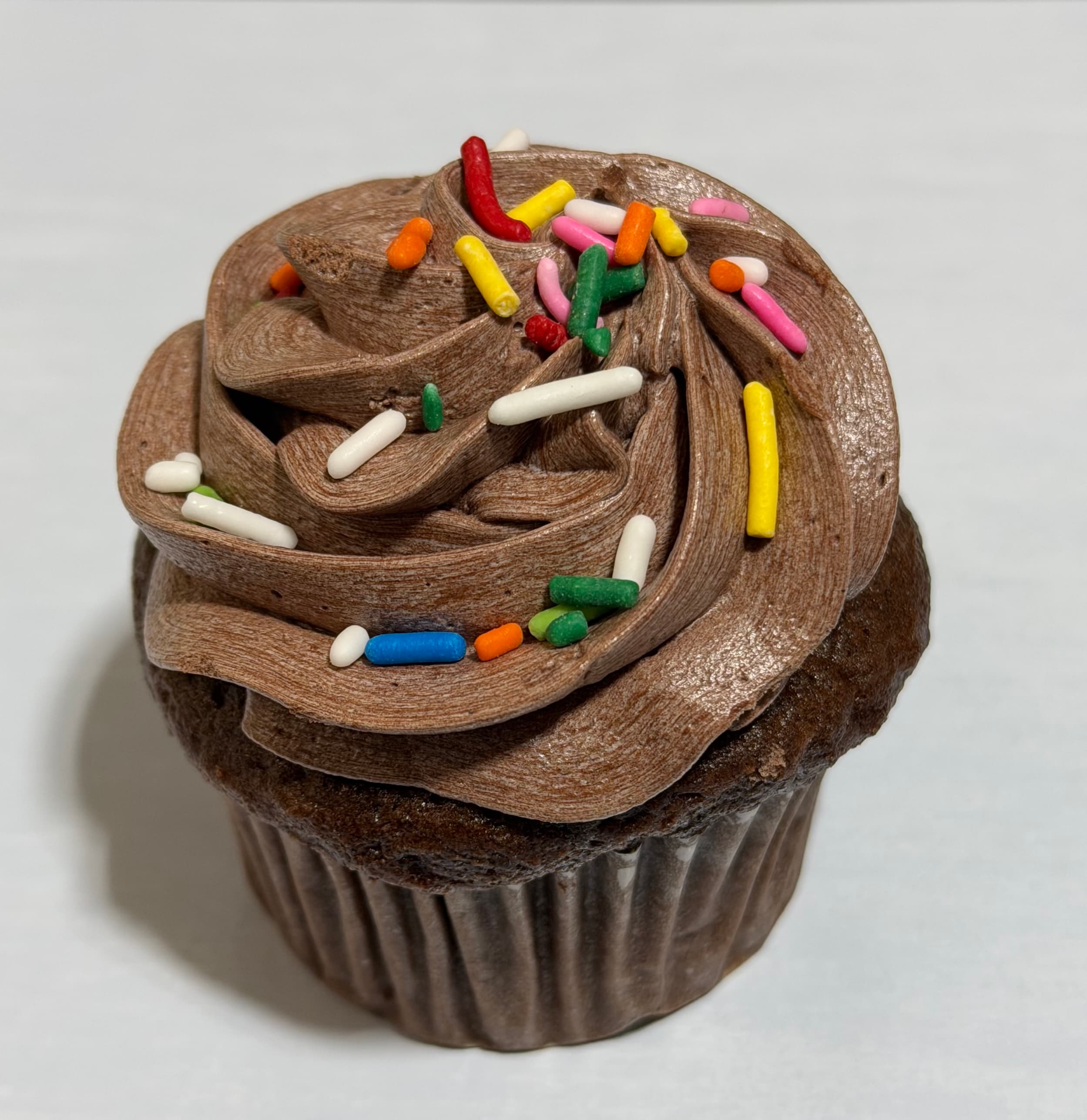 Iced Cupcake with Sprinkles - Chocolate